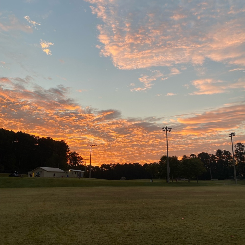 Meet your Posher, Molly